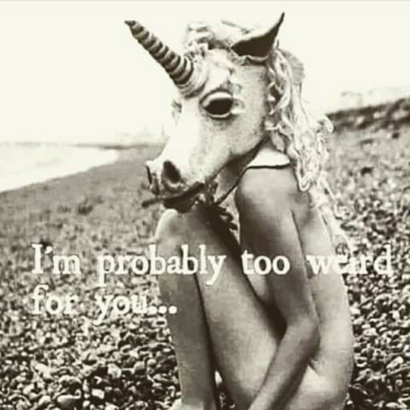 Meet your Posher, Glenell - Picture 1 of 1